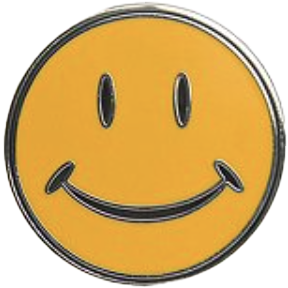 Mini fact flair